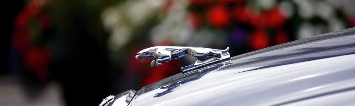 Jaguar Auto Body Repair